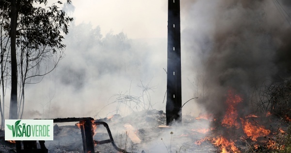 Les brûlures et incendies représentent 62% des causes d'incendies cette année